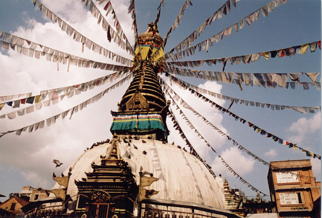 nepal kathmandu stupa and flags