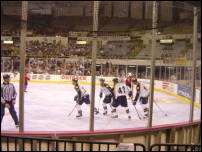 ice dogs game 12