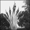 [laos_luang_prabang_7_headed_snake.gif]