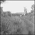 [burren_trail.gif]