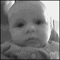 [unidentified_baby_1.gif]