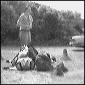 [camping_gear.gif]
