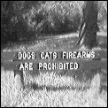 [dogs_cats_firearms.gif]