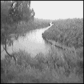 [glenelg_river_victoria.gif]