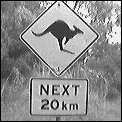 [roos_next_20km.gif]