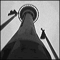 [auckland_skytower_looking_up.gif]