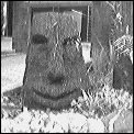 [carved_palm_stump.gif]