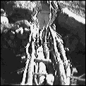 [log_bridge.gif]