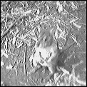 [wallaby.gif]