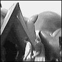 [arcazaar_7.gif]