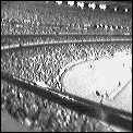 [mcg_crowd.gif]