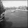 [yarra.gif]